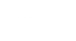 FINNtilect